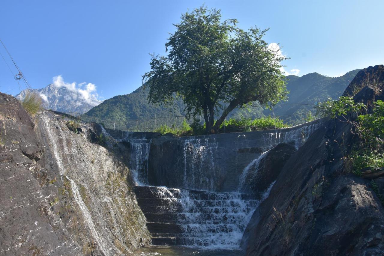 Hotel Hill Ventures Adventure Camp And Restaurant Dharamsala Zewnętrze zdjęcie